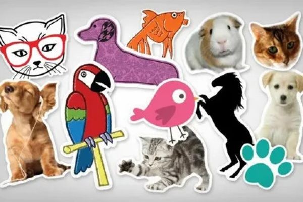 Creative Custom Pet Stickers for Pet Lovers
