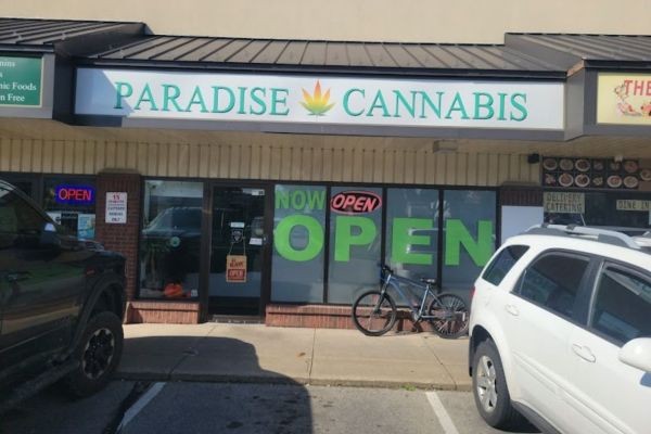Weed Store Port Colborne At Paradise Cannabis
