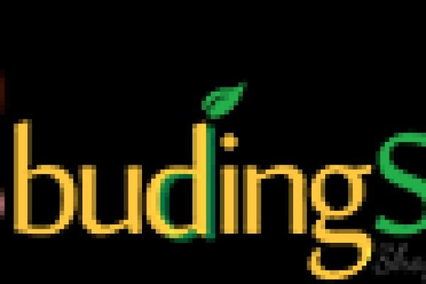 Buding Star: A Growing Platform for Knowledge, Parenting Tips, and Everyday Solutions