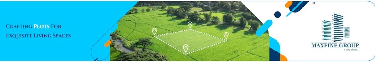 Maxpine Group