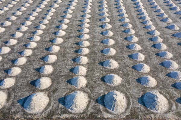 Industrial Absorbent Market Opportunities and Price Forecast Across Key Regions (2026–2036)