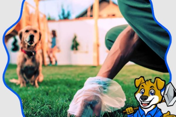 Reliable Pet Waste Removal Company in Wise County