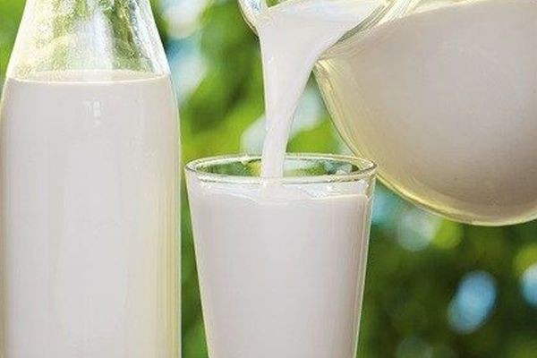 Fresh Milk: A Complete Guide to Nutrition and Benefits