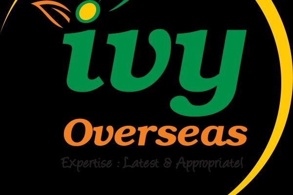 Best Overseas education consultants in Hyderabad