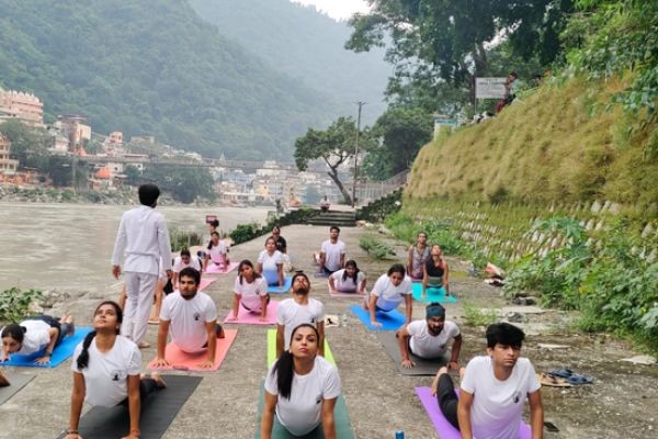 Yoga Teacher Training India Rishikesh: Learn from Certified Yoga Gurus