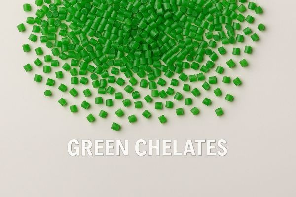 Green Chelates Market Size 2025–2031: Valuation and Scaling Trajectory