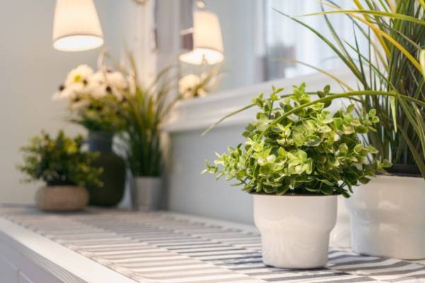 Artificial Plants Market Accelerating With Rising Demand For Decorative Green Solutions In Retail And Shopping Environments