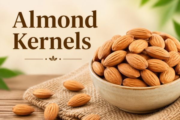 Almond Kernels Market to 2031: Market Growth Drivers and Opportunities