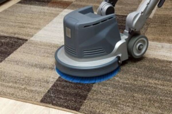 Many Homeowners Rely on Carpet Cleaning Services to Reduce Wear