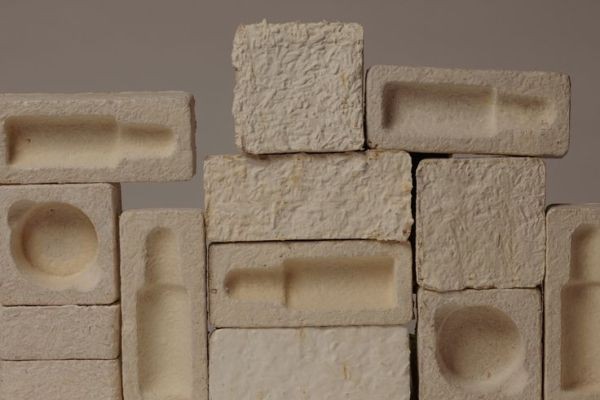 Mycelium Market Accelerators Highlight Emerging Research Prospects Powering Future Ready Circular Economy Solutions