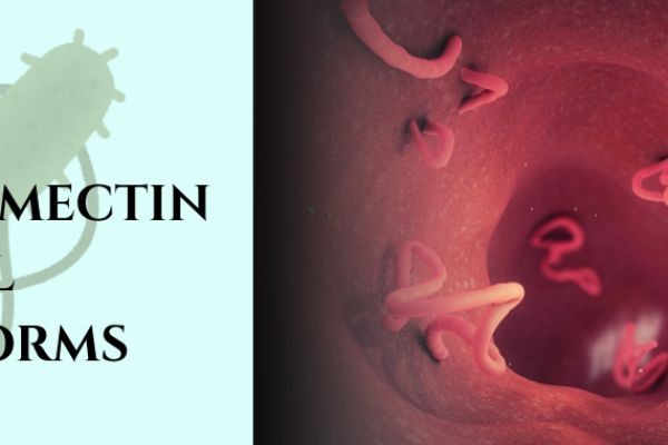 Does Ivermectin Kill Tapeworms? Can It Cure Tapeworm Infection Naturally and Safely? (US Guide)