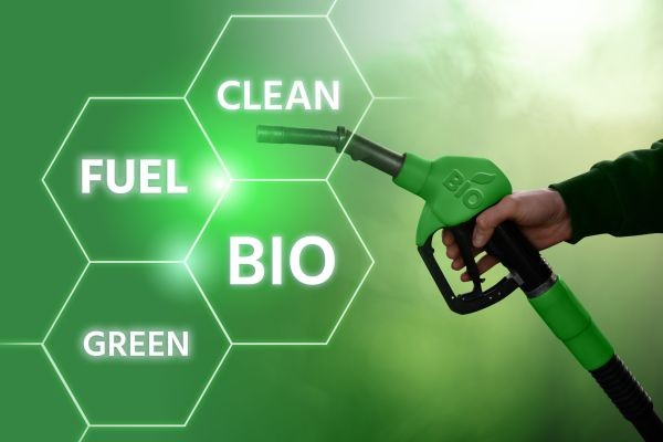 Biofuel Testing Services Market Growth Challenges Revealing Critical Gaps In Scaling Sustainable Fuel Innovations Worldwide