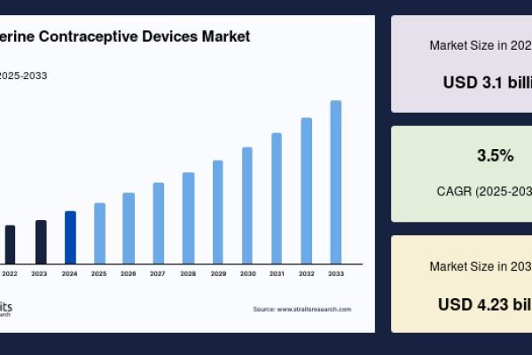 Intrauterine Contraceptive Devices Market to Reach USD 4.23 Billion by 2033, Growing at a CAGR of 3.5%