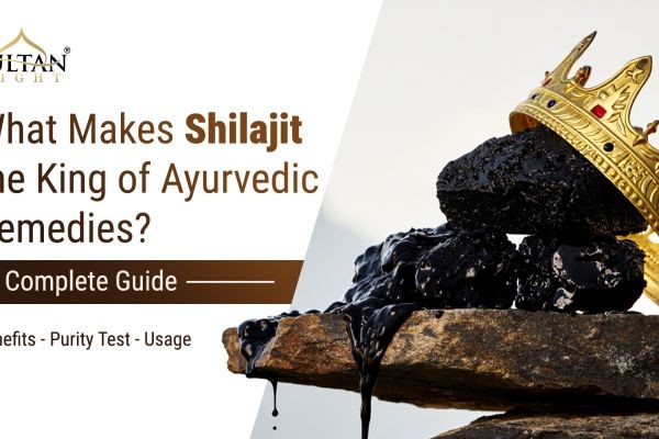 Discover Sultan Night: Why This is the Best Shilajit in India for Peak Performance