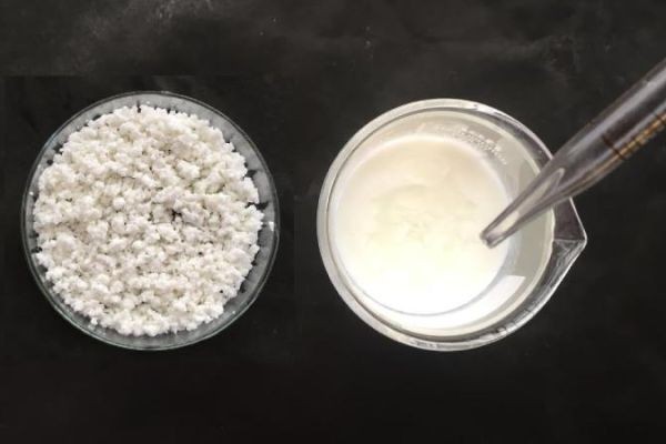 Casein Glycomacropeptide Market Long-Term Outlook Shaping Future of Functional Nutrition Industry