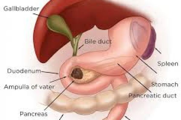 High-Precision Techniques in Biliary Tract and Liver Surgery in Dubai
