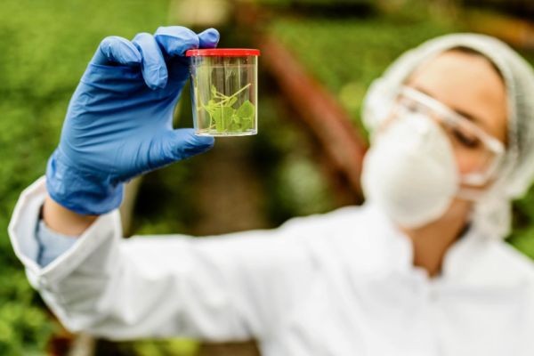 Low Emission VOC Safe PCR Material Market Forecast 2026–2036: Market Expansion Driven by Sustainable Packaging