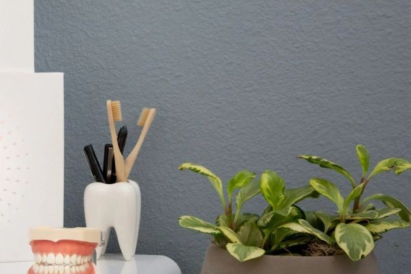 Your Family Hamilton Dental Care: Complete Guide to Choose