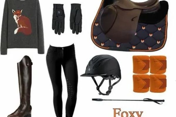 Equestrian Apparel Market Size & Forecast Outlook 2026–2036