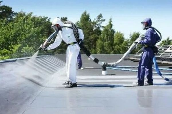 Reliable Solutions for Long-Lasting Roof Protection
