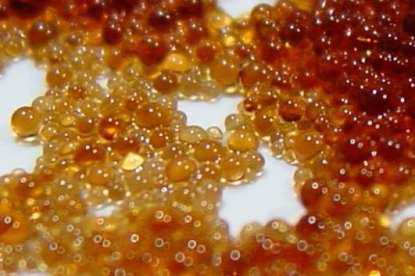 Ion Exchange Resins Market Size, Extensive Demand Analysis, Revenue Potential, Key Developments, Innovation Trends, and Industry Outlook in Upcoming Y..