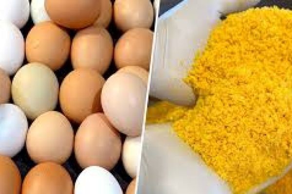 Dried Eggs Market Emerging Trends Driving Innovation and Expanding Global Food Applications