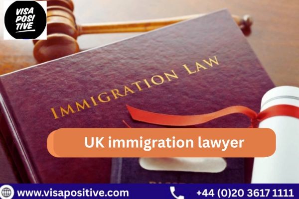 UK Immigration Lawyer: Expert Guidance with Visa Positive