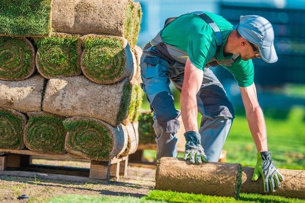 Landscape Installation: Transforming Outdoor Spaces with Style and Function
