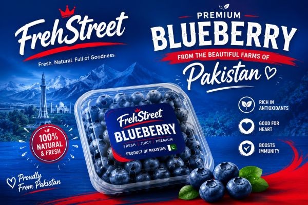 Fresh Blueberry Price in Pakistan