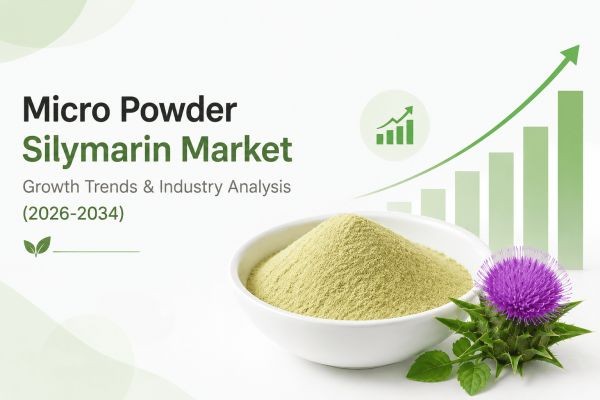 Micro Powder Silymarin Market Growth Trends & Industry Analysis (2026-2034)