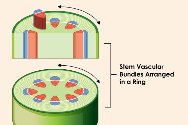 Geocells Market Forecast 2026–2036: Infrastructure Development and Soil Stabilization Driving Global Growth