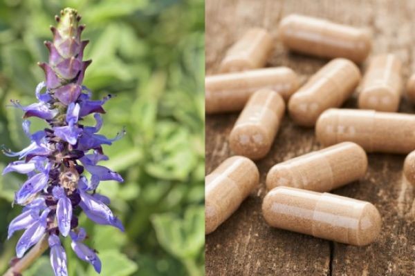 Forskolin Market Pain Points Exposed Through Forskolin Market Supply Gaps And Demand Pressure