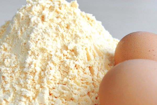 Dried Eggs Market Scenario Reveals Hidden Growth Drivers Transforming Global Food Manufacturing