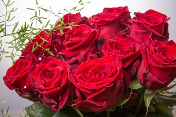 How Luxury Companionship Services Are Changing in Islamabad