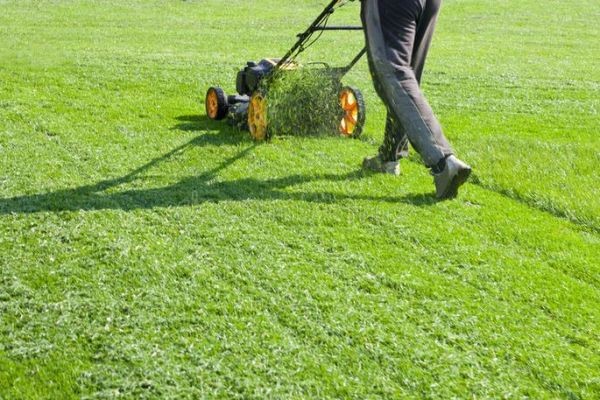 Top Benefits of Hiring a Residential Lawn Mowing Service