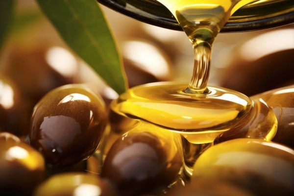 Argan Oil Market Summary Reveals Surprising Argan Oil For Hair Demand Growth Trends And Insights