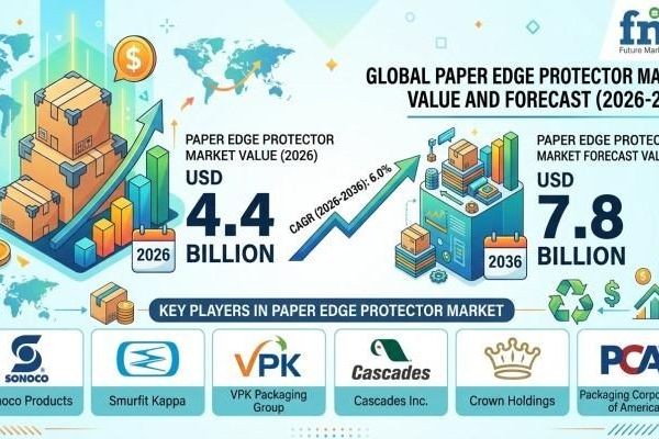 Paper Edge Protector Market Benefits From Rising Industrial Packaging Requirements
