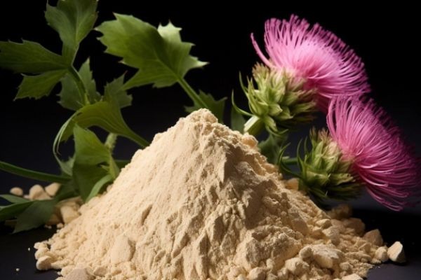 Milk Thistle Supplements Market Pain Points Exposing Truths About Side Effects And Consumer Trust