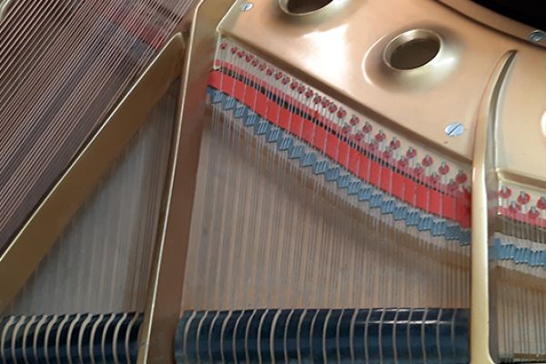 Restoring the Sound and Performance of Your Piano in NYC and Queens