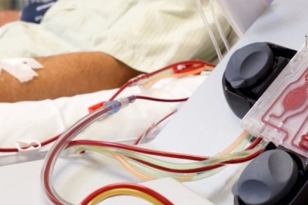 Apheresis Market Long-Term Outlook Highlights Apheresis Procedure Types Driving Future Healthcare Infrastructure Planning