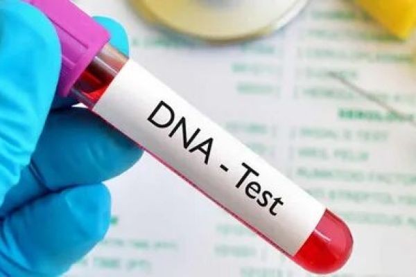 Common Myths About the Ancestry DNA Test Debunked