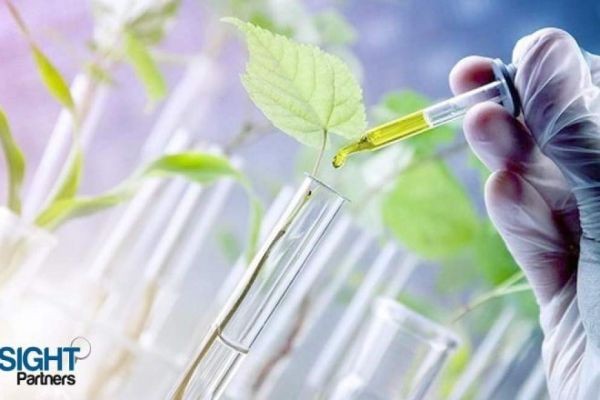 Trans-Cinnamic Acid Market Size Worth US$ 538.38 Million by 2034