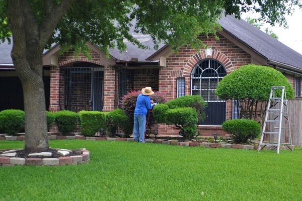 Professional Landscaping Contractor Services for Residential and Commercial Properties