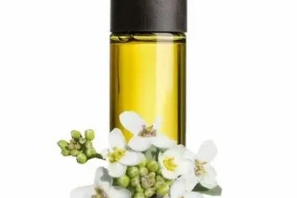 Global Crambe Seed Oil Market Growth, Trends & Forecast 2026–2036