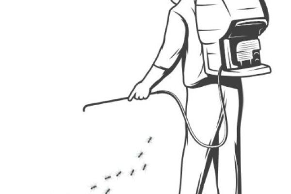 Smart ways to reduce pest activity in homes and businesses