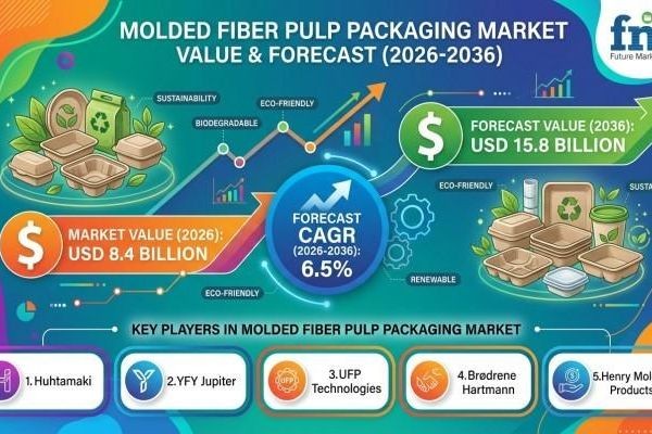 Molded Fiber Pulp Packaging Market Opportunities Rise with Sustainable Foodservice Packaging Demand Expansion Worldwide