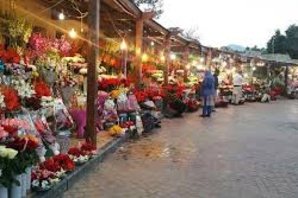 Islamabad Flower Shop – Bringing Color to Every Celebration