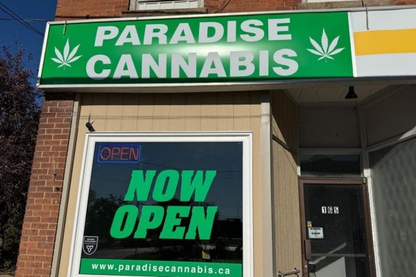 Trusted Cannabis Store in Bancroft & Niagara Falls for Premium Products - Paradise Cannabis