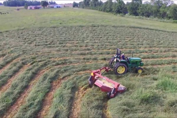 Seasonal Pasture Maintenance Tips for Property Owners