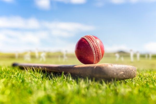 Cricket Betting ID Provider with Fast Support and Secure Access – Ikkabook